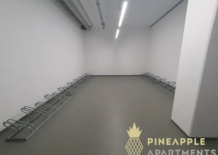 Pineapple - Altstadt Iv - 91qm - 1x Free Parking Apartman