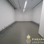 Pineapple - Altstadt Iv - 91qm - 1x Free Parking Daire