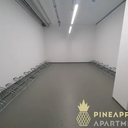 Pineapple - Altstadt Iv - 91qm - 1x Free Parking Daire